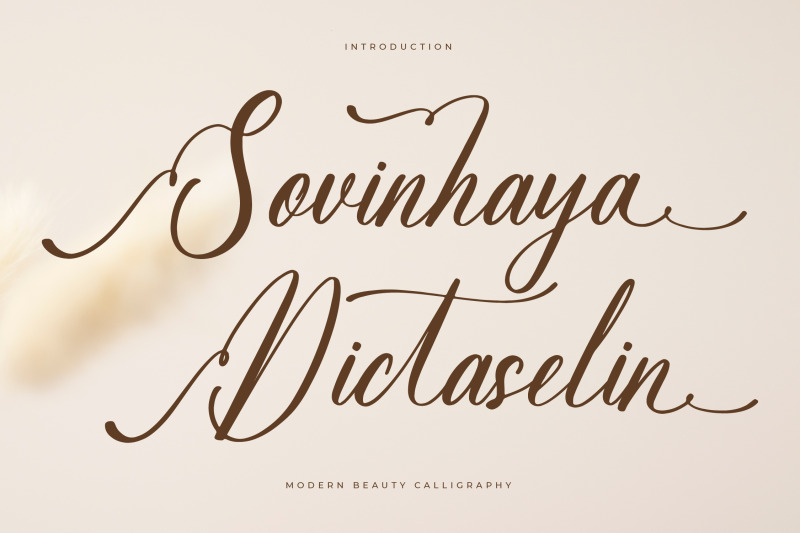 sovinhaya-dictaselin-modern-beauty-calligraphy