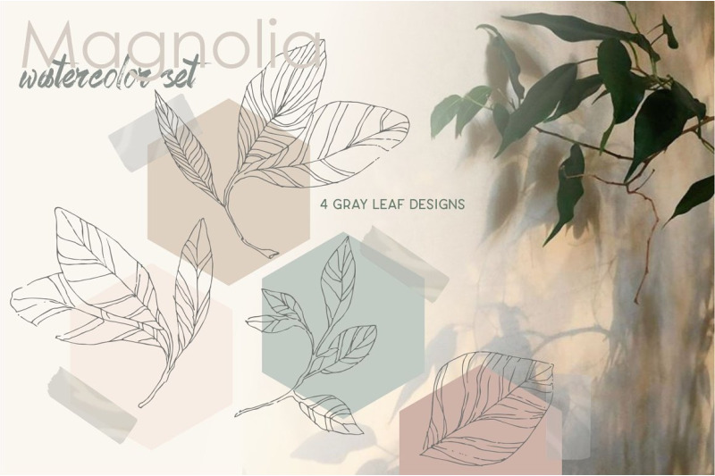 magnolia-watercolor-set