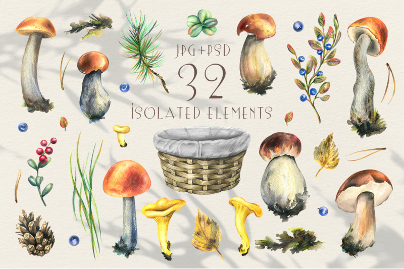 mushrooms-edible-forest-watercolor-clip-art