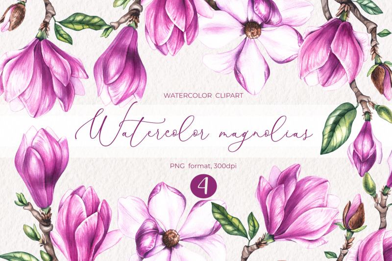 watercolor-magnolias-clipart-png