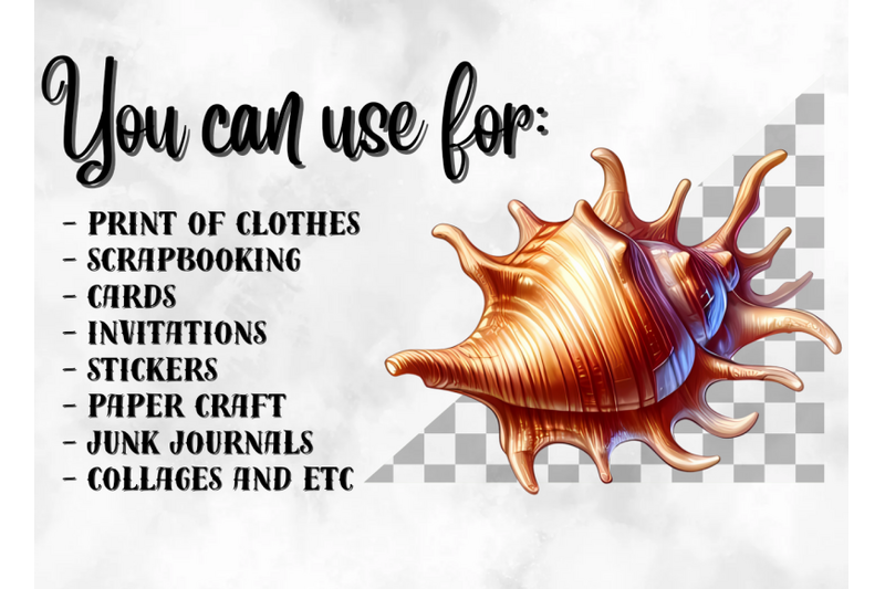 seashells-clipart-seashell-png-illustration