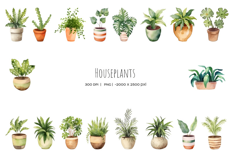 watercolor-18-houseplants-in-pot-house-plants-clipart-gardening-png
