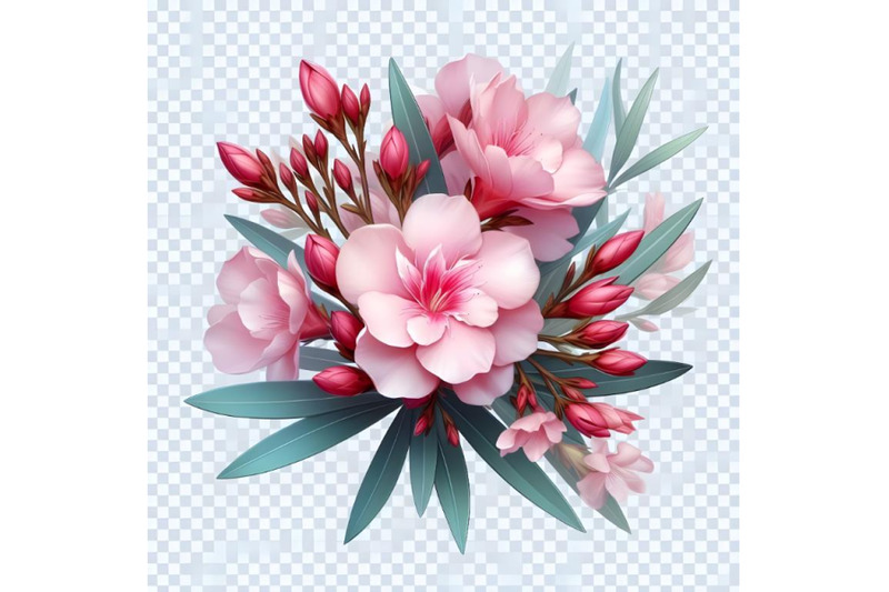 blooming-oleander-flower