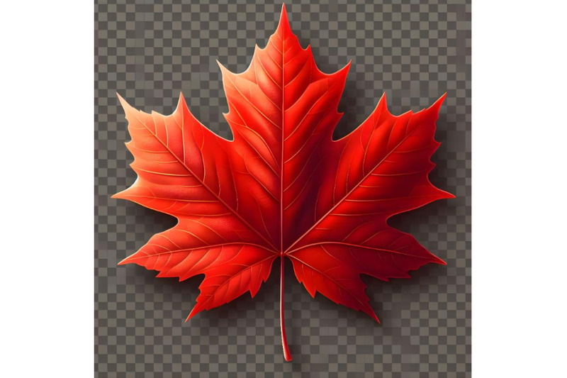 maple-leaf