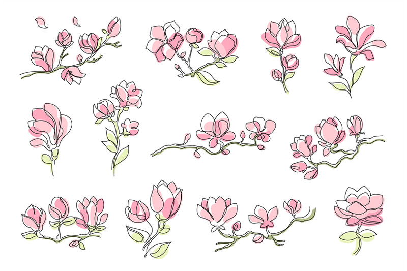 magnolia-flowers-delicate-floral-line-art-blooming-magnolia-branches