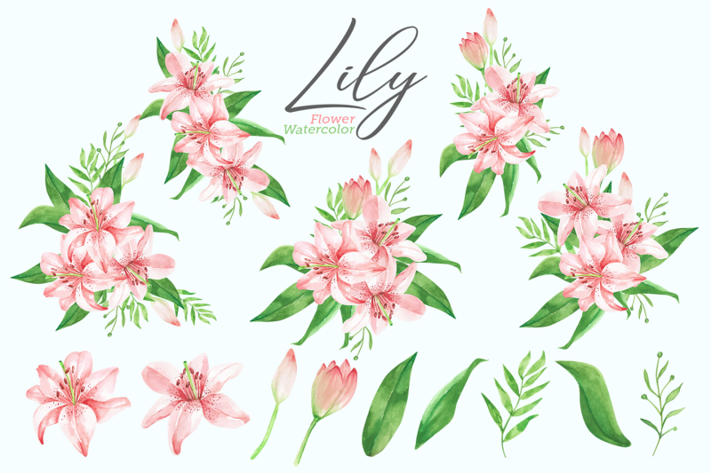 14-watercolor-lily-flower-illustrations