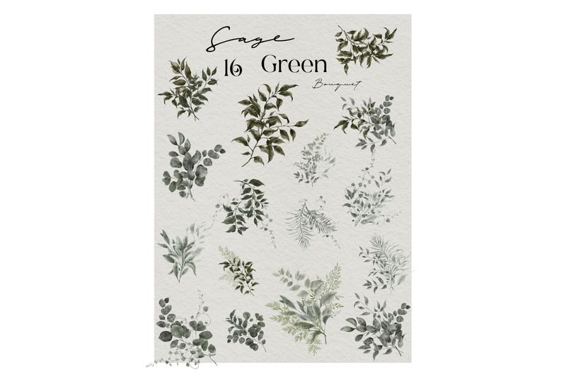 sage-green-hand-draw-watercolor-collection