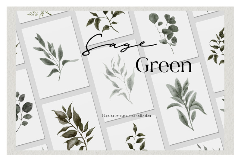 sage-green-hand-draw-watercolor-collection