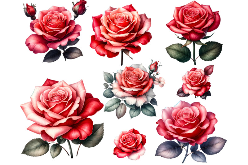 watercolor-roses-clipart-floral-designs-wedding-invites