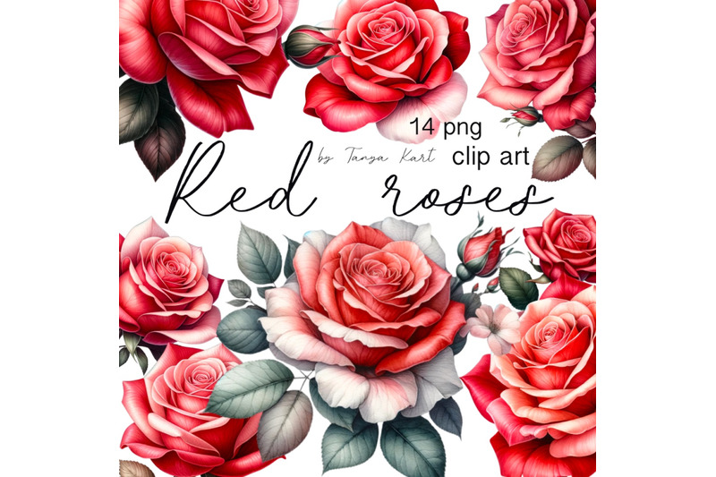 watercolor-roses-clipart-floral-designs-wedding-invites