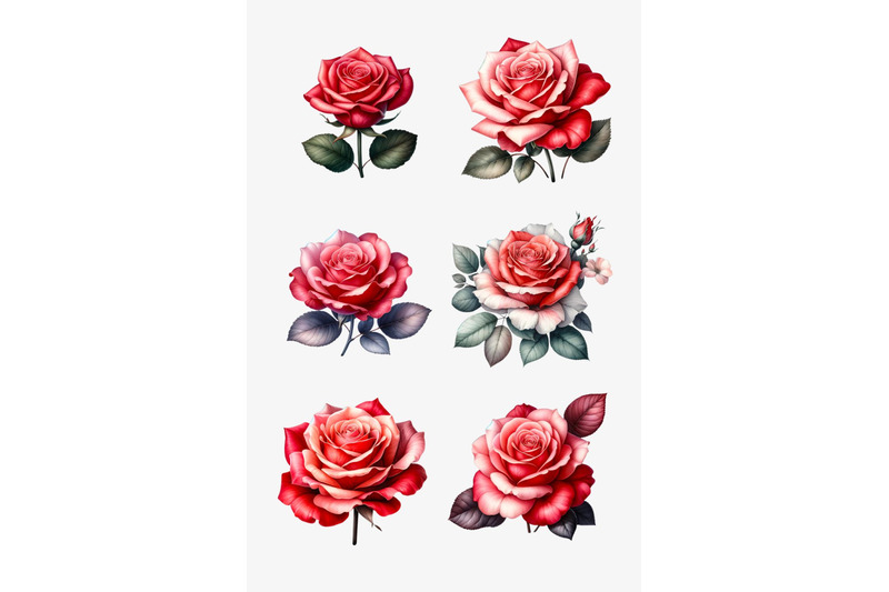 watercolor-roses-clipart-floral-designs-wedding-invites