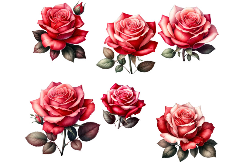 watercolor-roses-clipart-floral-designs-wedding-invites