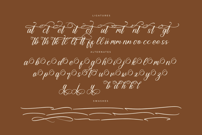 havelina-renatiwy-modern-beauty-script