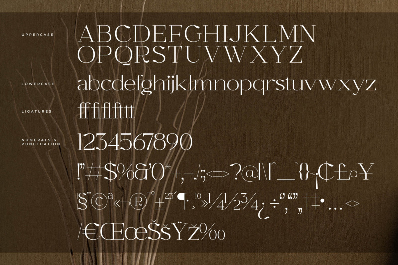 graflows-modern-font-serif