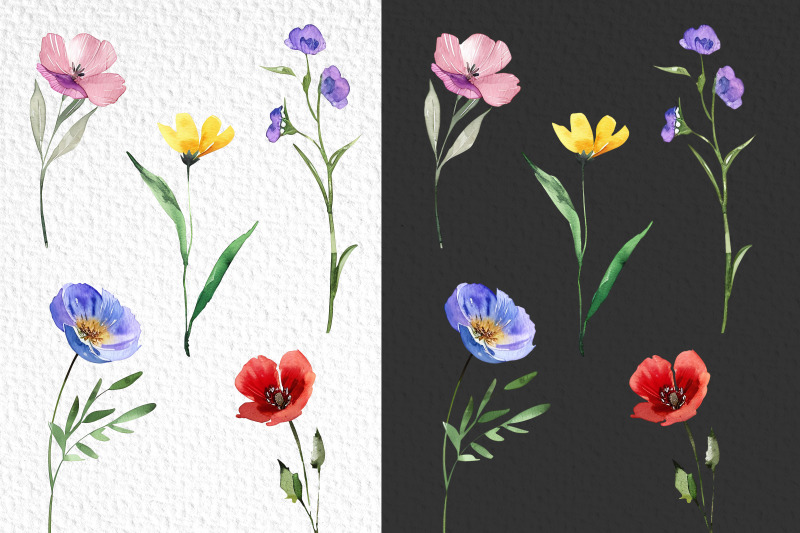 watercolor-wildflowers-clipart-bundle-20-png-elements-meadow-flowers