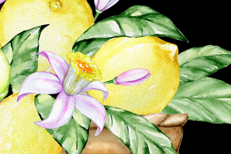 lemon-watercolor-clipart-seamless-summer-pattern-tropical-fruits-deco