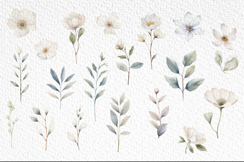 watercolor-white-flowers-clipart-bundle-png-flower
