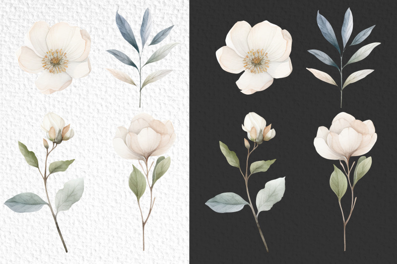 watercolor-white-flowers-clipart-bundle-png-flower