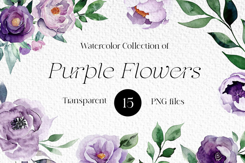 watercolor-purple-flowers-clipart-bundle-wedding-floral-elements-png
