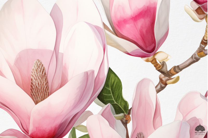 watercolor-magnolia-clipart