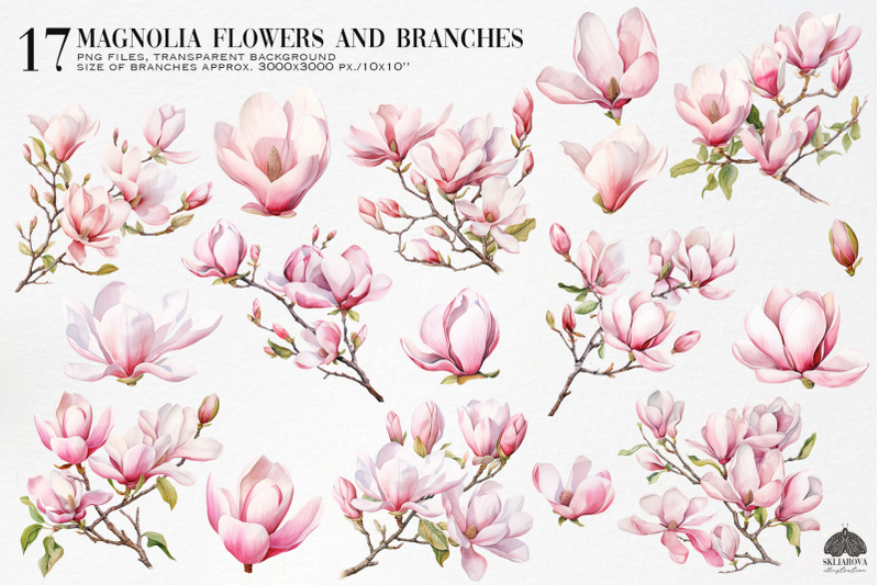 watercolor-magnolia-clipart