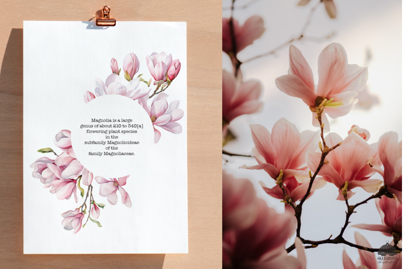 watercolor-spring-magnolia