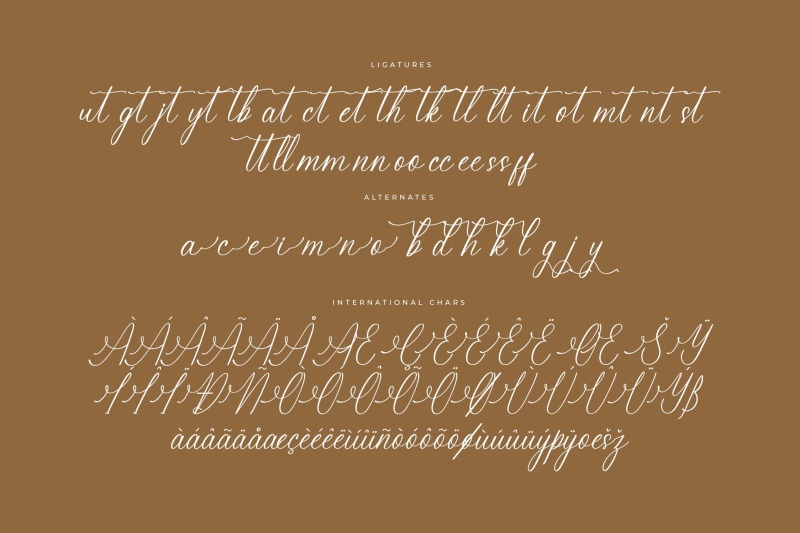 berlanfi-sankisse-modern-beauty-script