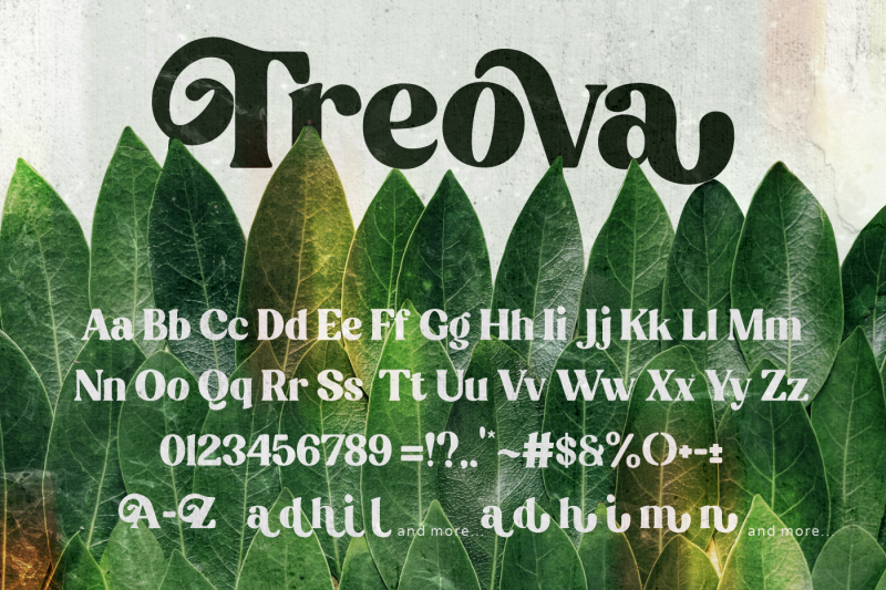 treova-stylish-serif