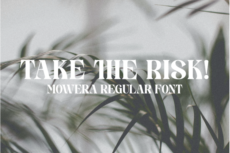 mowera-bold-serif