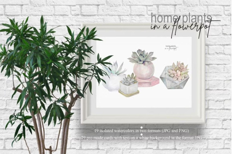 house-plants-in-flowerpots