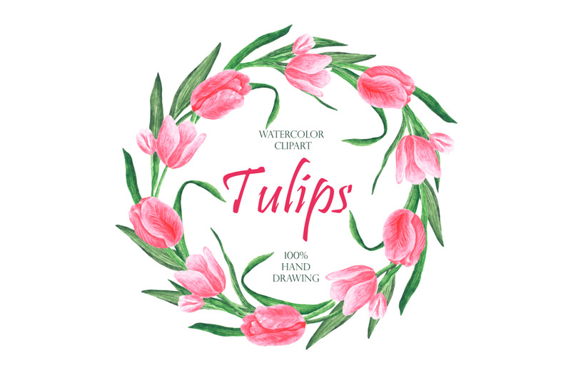 tulips-watercolor-clipart-pink-tulips-png-flowers-clipart-spring