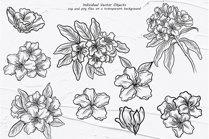 rhododendron-line-art-clipart