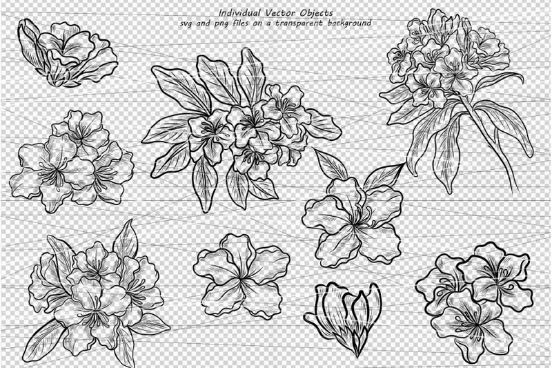 rhododendron-line-art-clipart