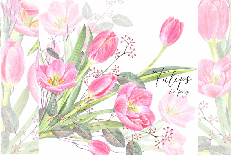 watercolor-pink-tulips