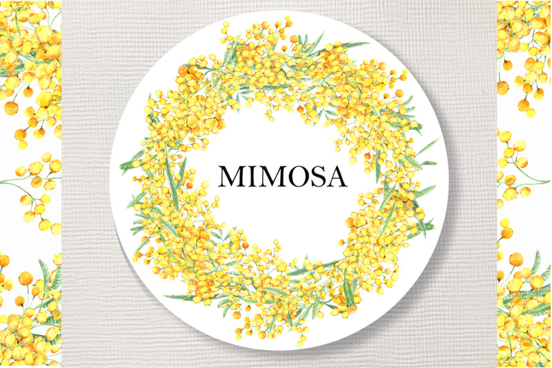 spring-mimosa