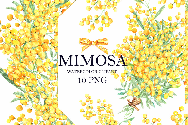 mimosa-clipart-set