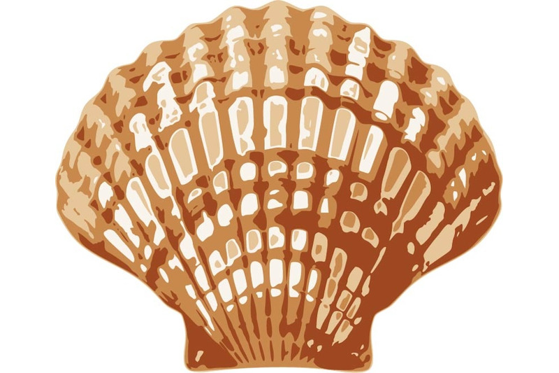 seashell-svg-layered-stencil