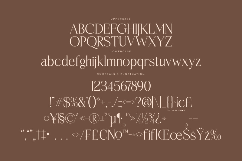 casselin-modern-serif-font