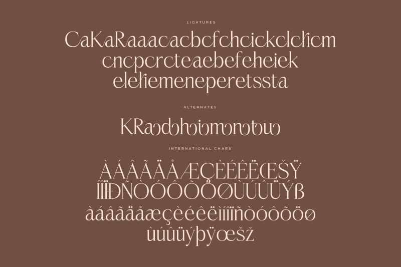 casselin-modern-serif-font