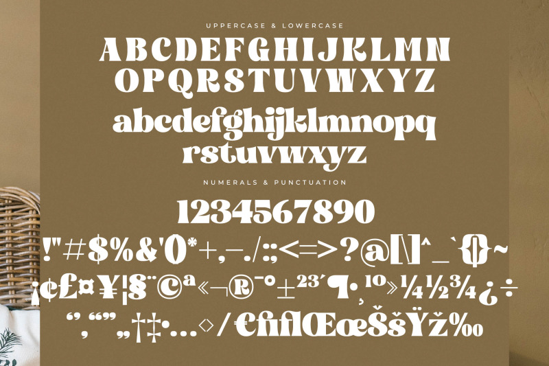 bogien-seralu-modern-retro-serif