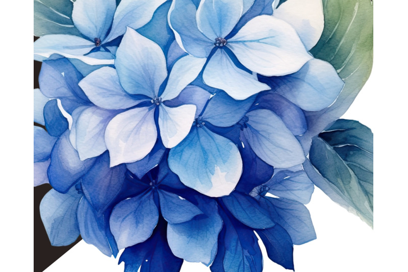 watercolor-hydrangea-clipart-floral-wedding-decorations-digital-download
