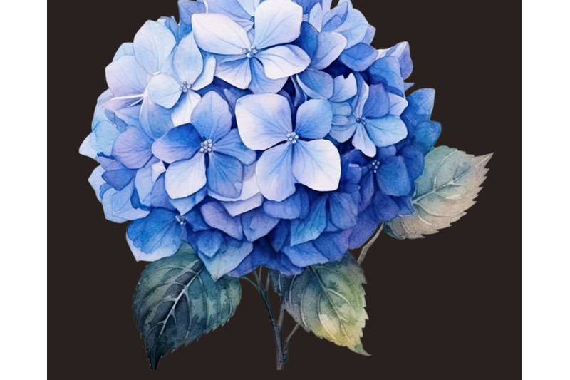 watercolor-hydrangea-clipart-floral-wedding-decorations-digital-download