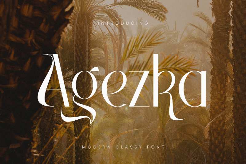 agezka-classy-font