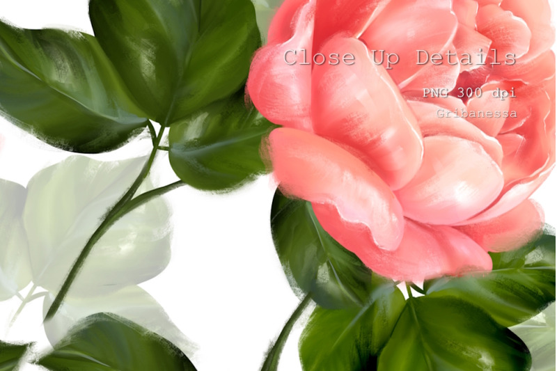 floral-seamless-patterns-rose-flowers-digital-paper