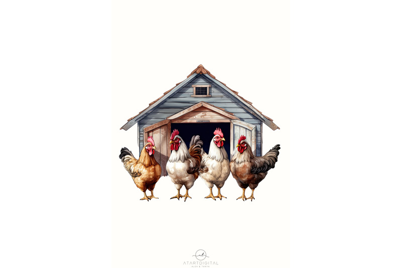 chickens-png-farm-animals-digital-images