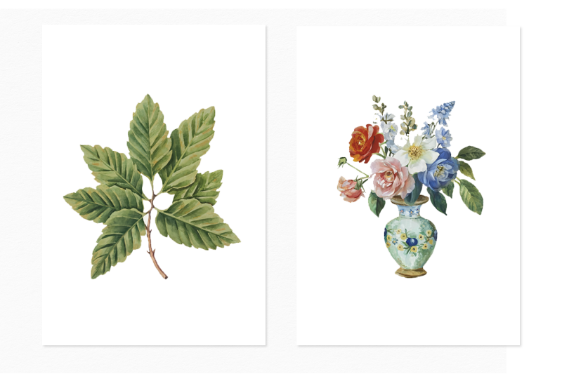 vintage-botanicals-florals