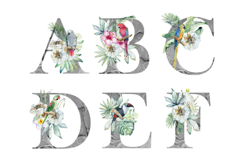 watercolor-alphabet-with-parrots