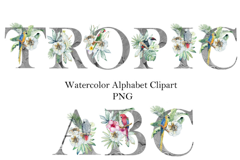 watercolor-alphabet-with-parrots