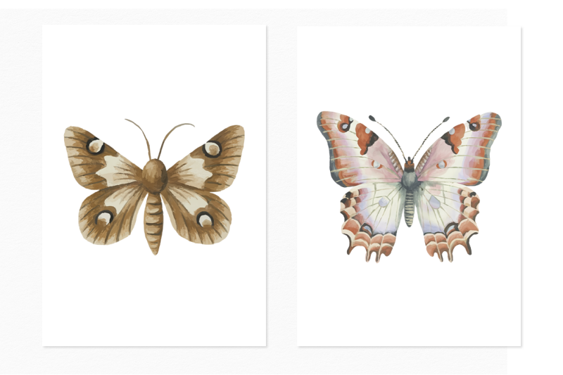 vintage-butterflies-amp-moths