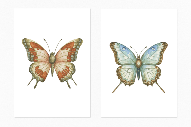 vintage-butterflies-amp-moths